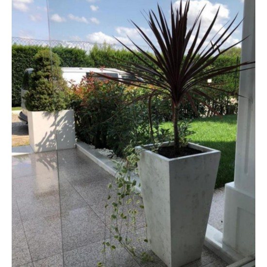 Beton Saksılar